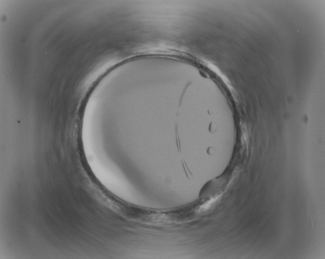 X0000080761463200701021044