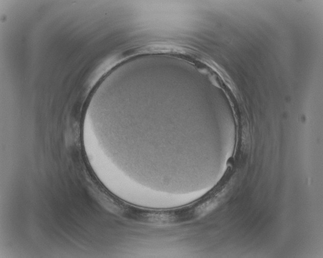 X0000080761465200701021044