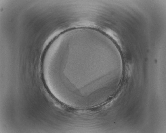 X0000080761469200701021044