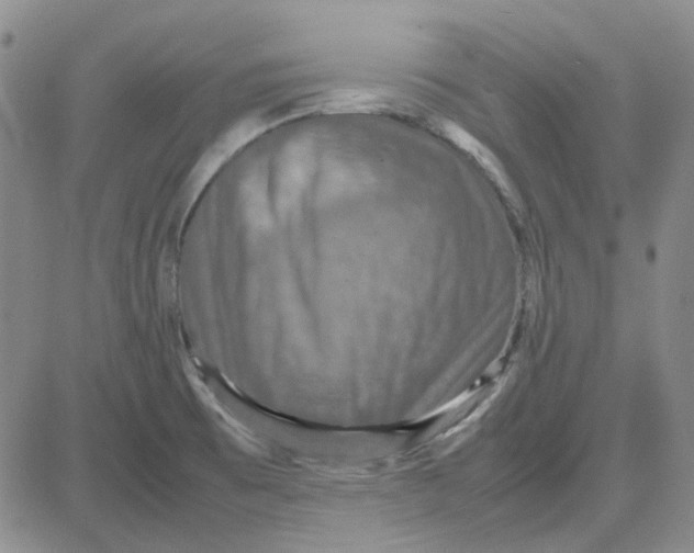 X0000080761473200701021044