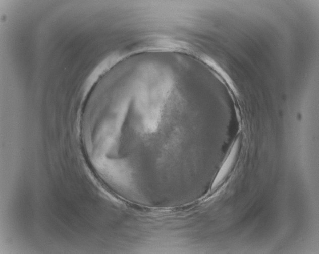 X0000080761477200701021044