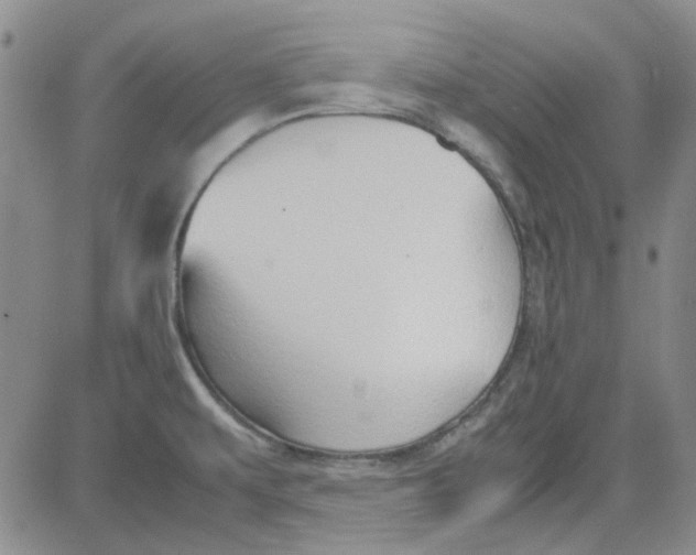 X0000080761479200701021044