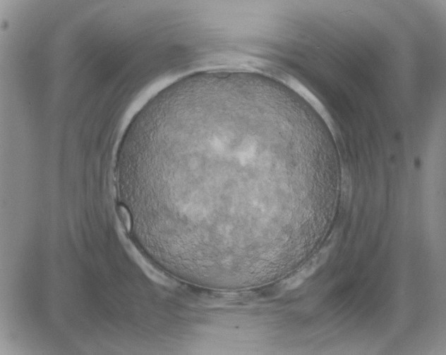 X0000080761485200701021043