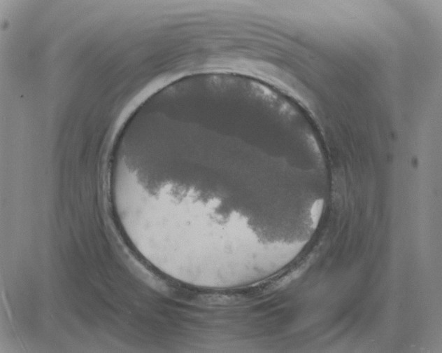 X0000080761517200701021043