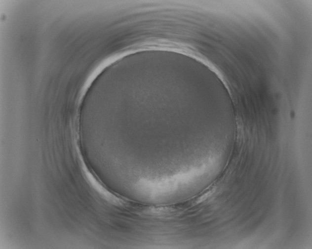 X0000080761531200701021043