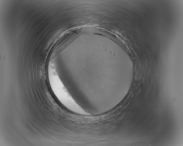 X0000080760002200701051248