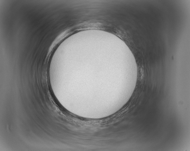 X0000080760004200701051248