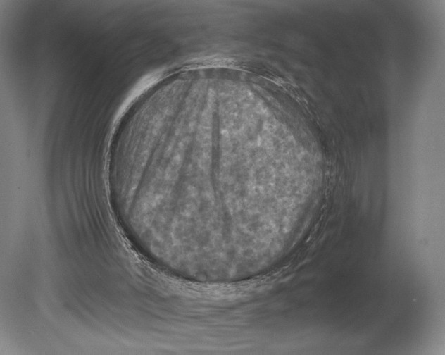 X0000080760006200701051248