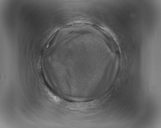 X0000080760009200701051248