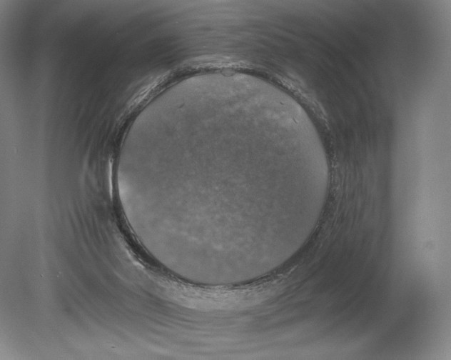 X0000080760014200701051248