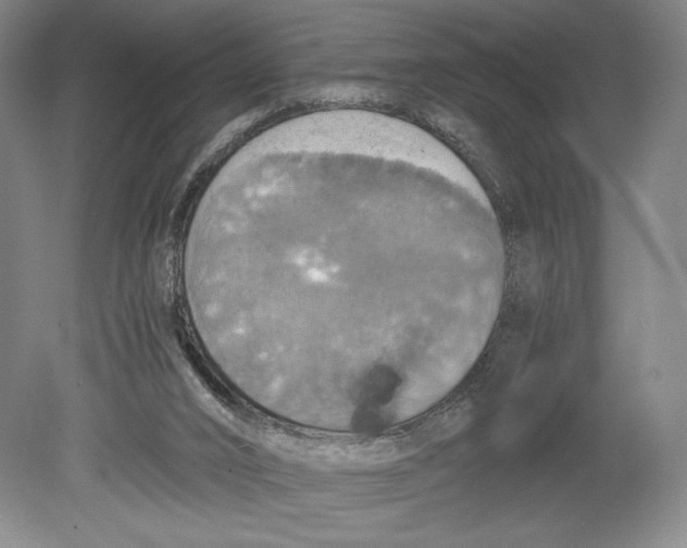 X0000080760016200701051248