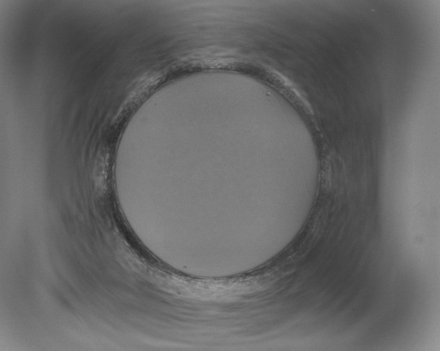 X0000080760018200701051248