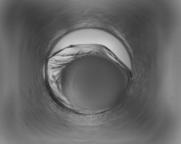 X0000080760019200701051248