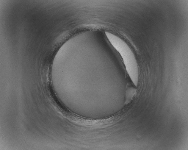 X0000080760023200701051248