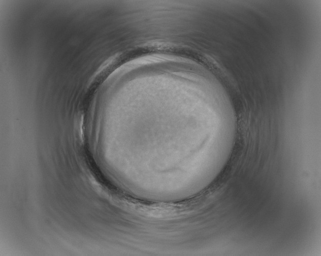 X0000080760024200701051248