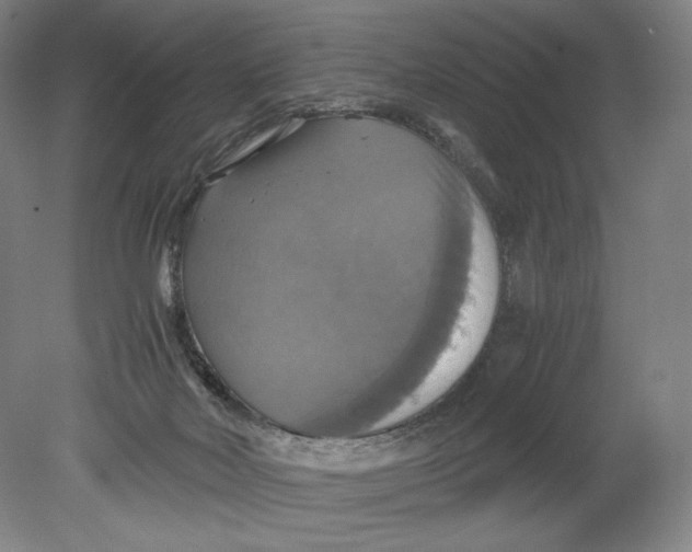 X0000080760026200701051248