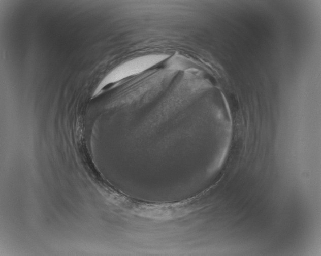 X0000080760029200701051247