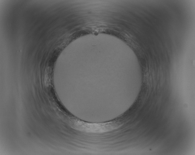 X0000080760030200701051247