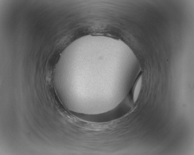 X0000080760033200701051247