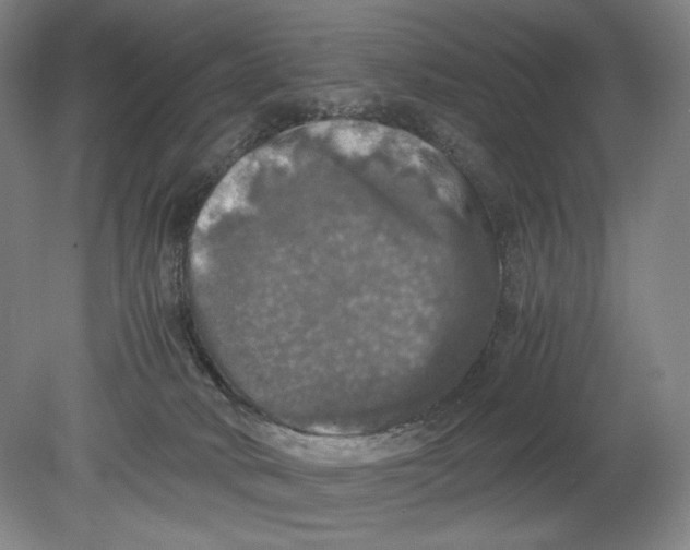X0000080760034200701051247