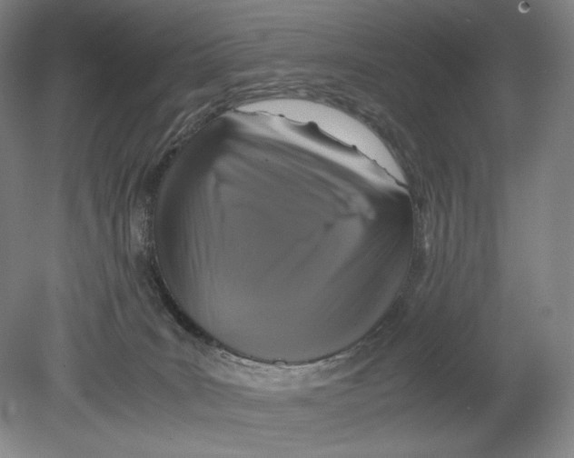 X0000080760035200701051247