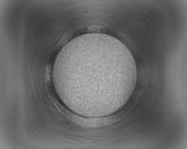 X0000080760038200701051247
