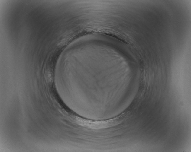 X0000080760039200701051247