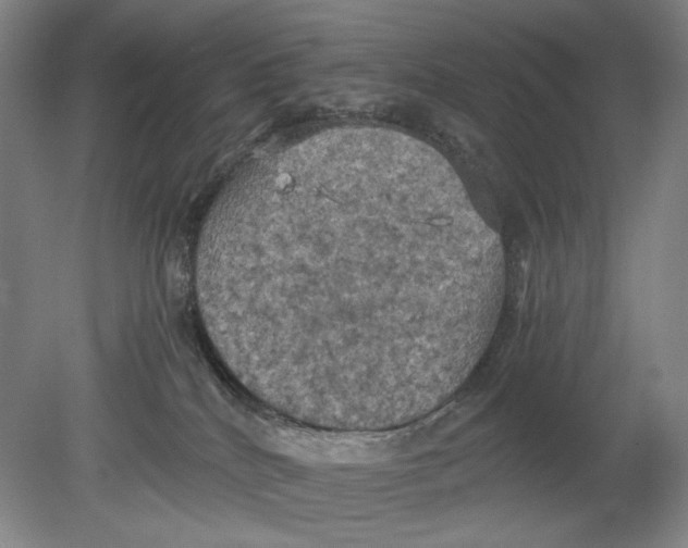 X0000080760040200701051247