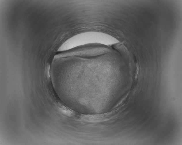 X0000080760041200701051247