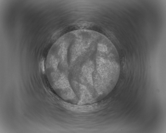 X0000080760042200701051247