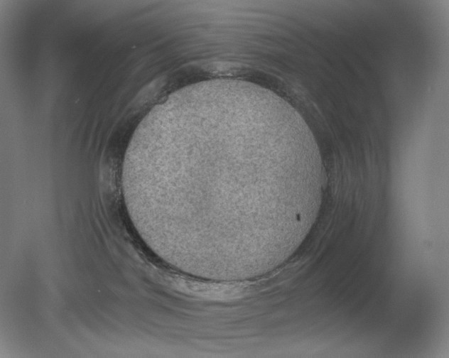 X0000080760044200701051247