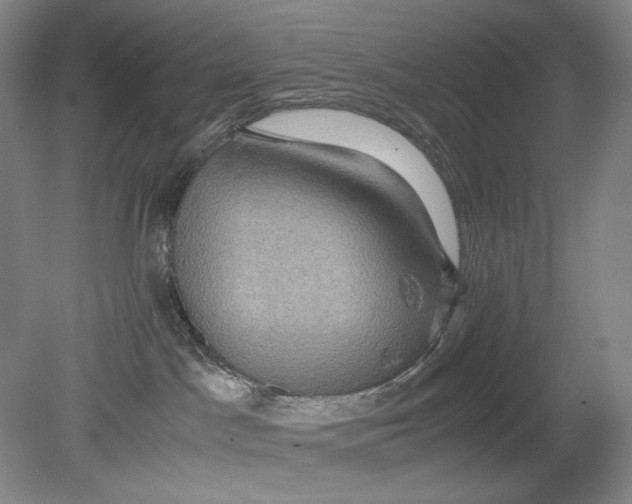 X0000080760045200701051247