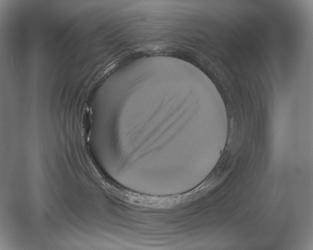 X0000080760048200701051247