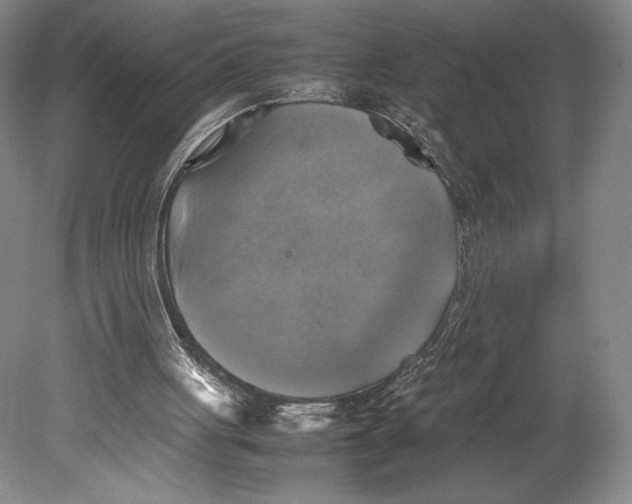 X0000080760051200701051246