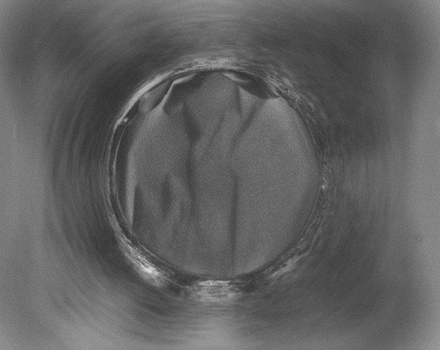 X0000080760052200701051246