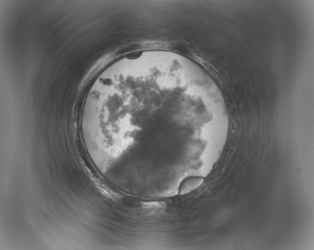 X0000080760053200701051246