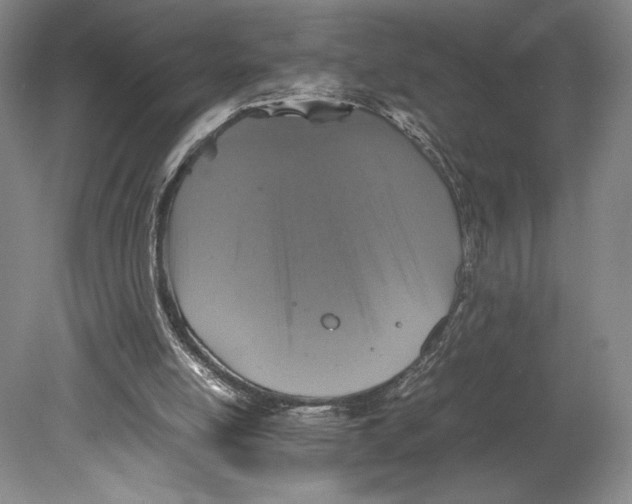 X0000080760054200701051246