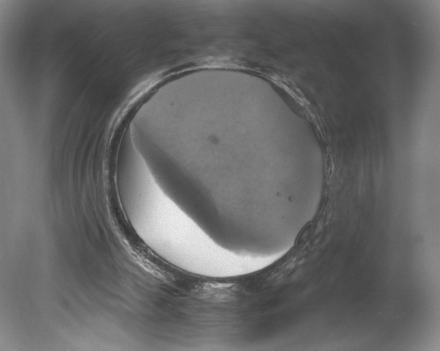 X0000080760055200701051246