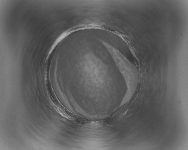 X0000080760056200701051246