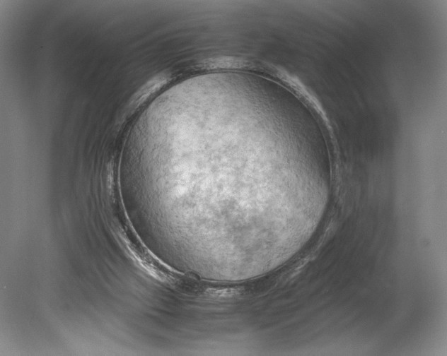 X0000080760057200701051246
