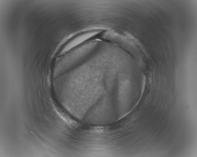 X0000080760064200701051247