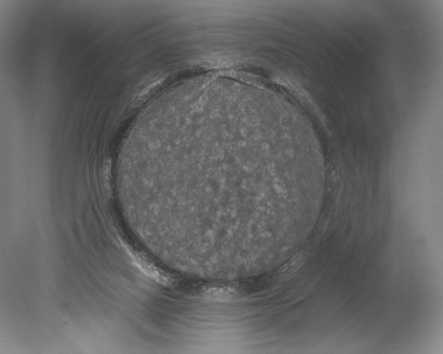 X0000080760066200701051247