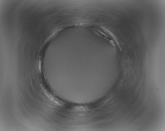 X0000080760067200701051247
