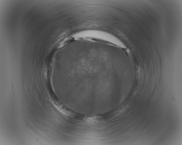 X0000080760072200701051247