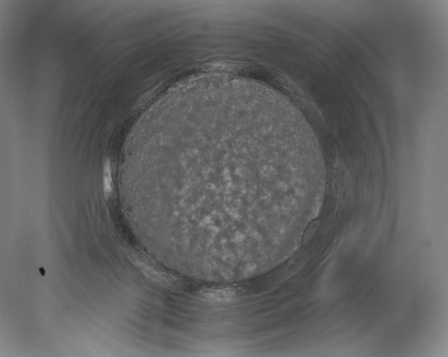 X0000080760075200701051247