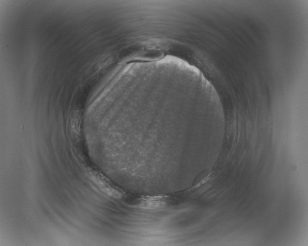 X0000080760078200701051247