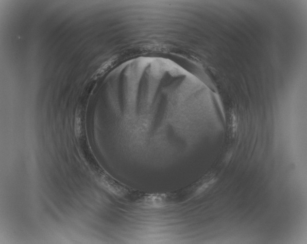 X0000080760080200701051247
