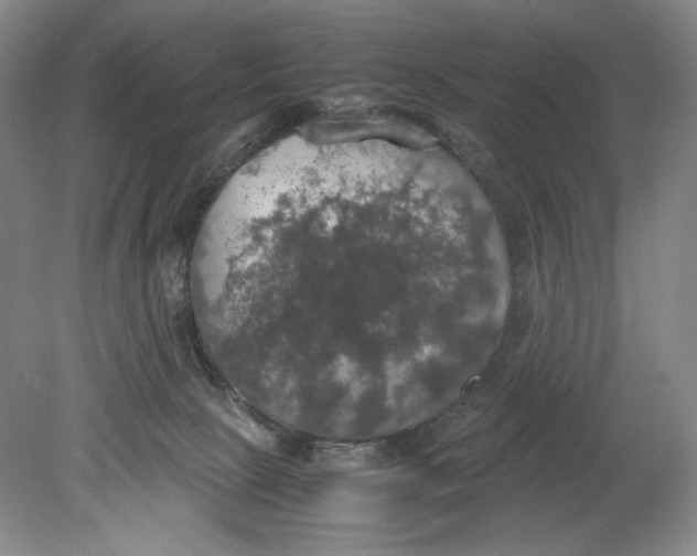 X0000080760081200701051247