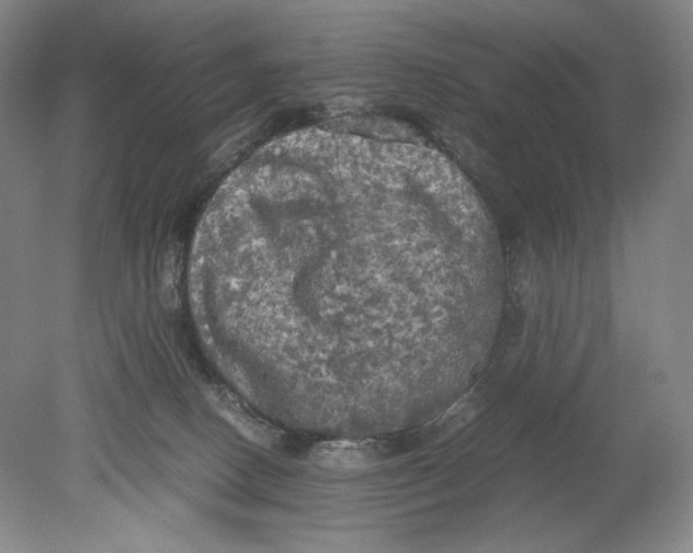 X0000080760082200701051247