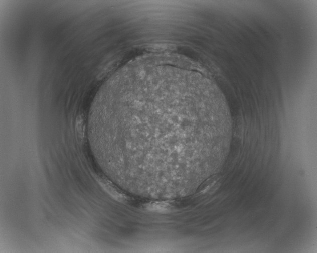 X0000080760086200701051247
